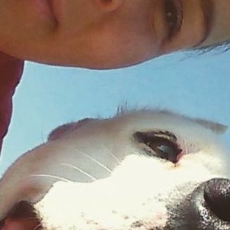Hundeliebhaberin sucht Hundefreund aus Wallisellen Schweiz